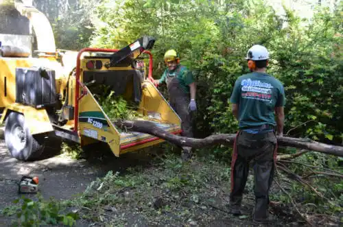 tree services Noorvik